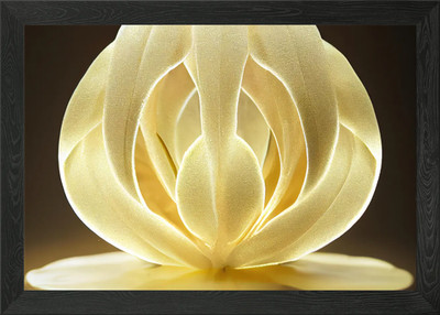 Creamy Flower Close-Up Framed Wall Art Poster Canvas Print Picture
