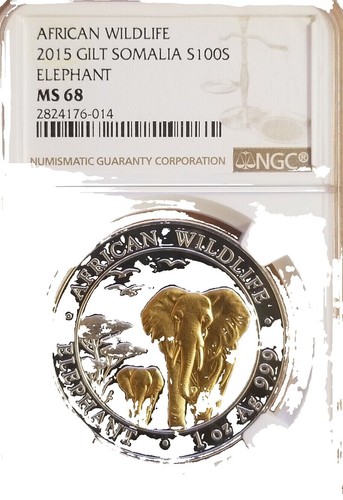 Fiji 2 dollars Small Cats series Somali Fluffy Cat Pet colored