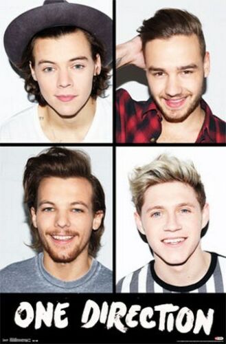 ONE DIRECTION POSTER Amazing Head Shot Collage RARE HOT NEW 22x34 - Afbeelding 1 van 1