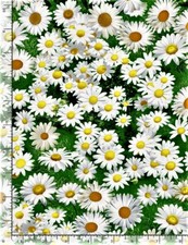 Timeless Treasures Realistic Daisies Floral 2 100 Cotton Quilt Fabric BTY