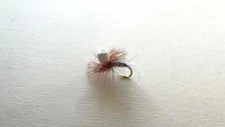1 DOZ DF-5 FOAM POST EMERGER (SELECT PATTERN & SIZE) DRY FLY