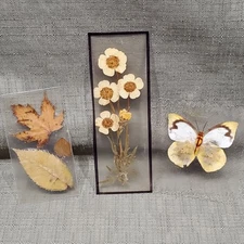 Dried Pressed Flowers Leaves Butterfly Bookmarks Lot Of Three