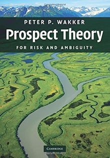 Prospect Theory: For Risk and Ambiguity von Peter P... | Buch | Zustand sehr gut