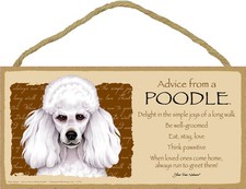 Advice From A POODLE White Dog Head 5 x 10 Wood SIGN Plaque USA Made