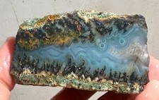 New Tide Pool Plume Agate Faced Rough!