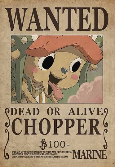 Póster One Piece Wanted
