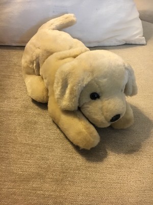 andrex puppy teddy