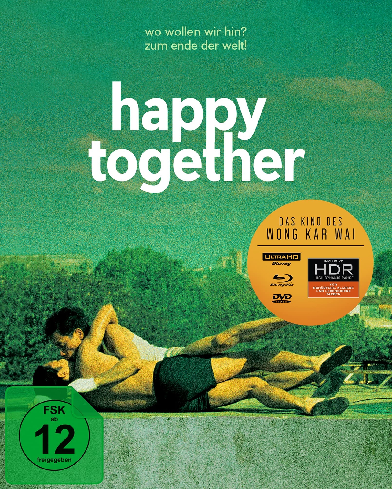 Happy Together (Wong Kar Wai) (Special Edition) (4K-Ultra-HD) ( (4K UHD Blu-ray)