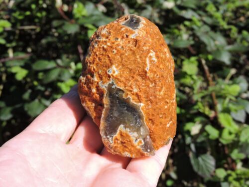 BRAZILIAN AGATE PAIR. COLORFUL STONE Lapidary Gems. (1 pound 13oz total) - Picture 7 of 24