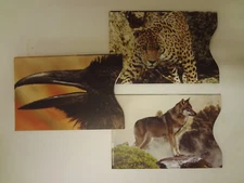 Lot RFID Credit Card Sleeve/Case/Holder Identity Protector Full Color Animals