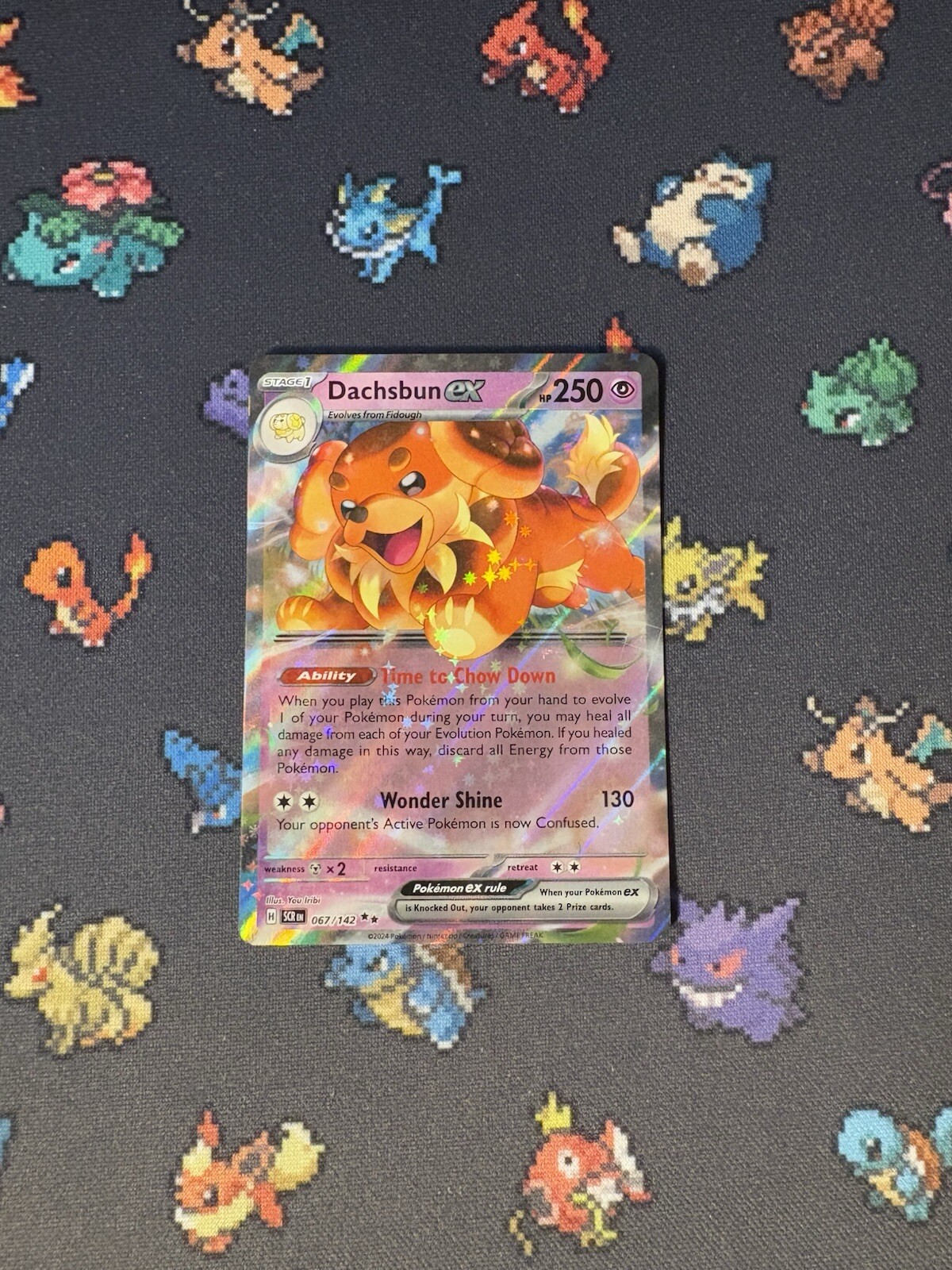 Pokémon Cards Dachsbun ex 067/142 Ultra Rare Stellar Crown - (NM)