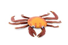 Sally Lightfoot Crab, Realistic Toy Figure, Model, Replica, Gift, 7" CH290 BB127