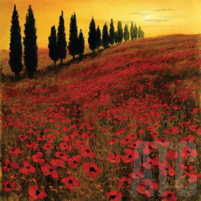 36W''x36H'' POPPIES by STEVE THOMS - FIELDS OF SPRUCE SUNRISE CHOICES of CANVAS