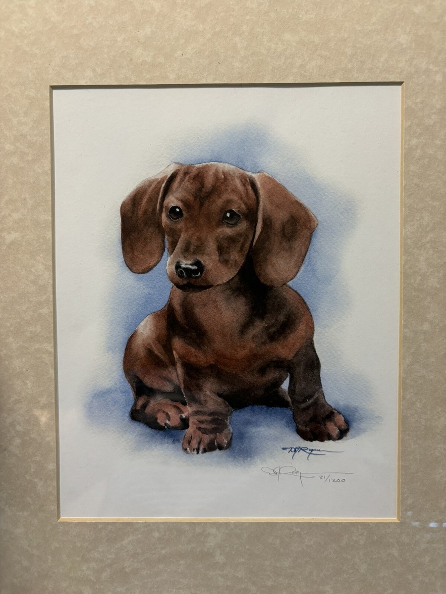 Dachshund Dog Limited Edition Signed Framed Matted Print By DJ Rogers 17