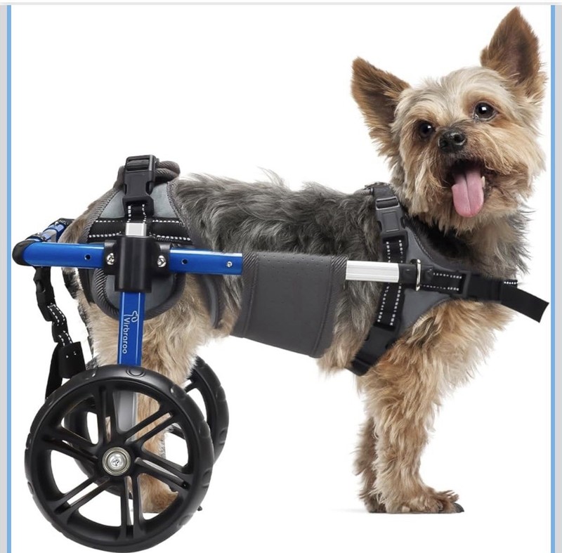 Dog Wheelchair for Back Legs with Upgraded All-Terrain Tires - Xsmall 11-18#s