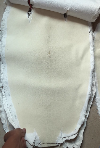 Real Stingray Fish Skin Raw Skin Embryo Translucent Fish Skin Leather White - Picture 5 of 12