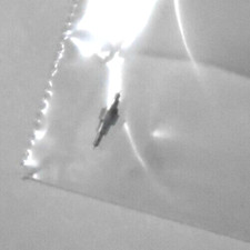 1 ILLINOIS 18 SIZE BALANCE STAFFS 47604 DR, BUNN PIVOT 10 NOS---D-35