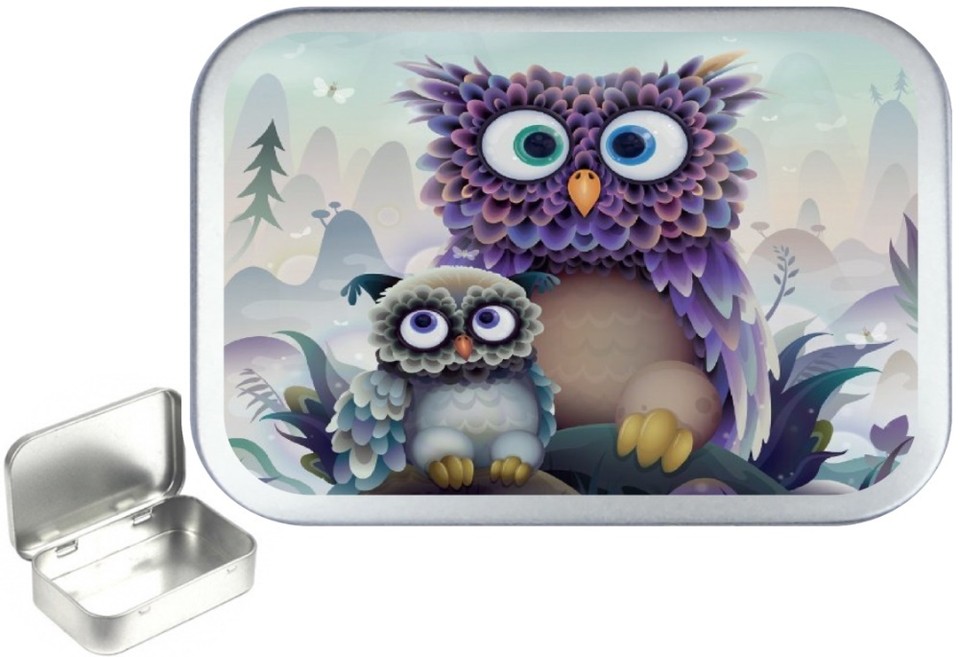 FAIRY CANDLE 1oz SILVER HINGED TOBACCO TIN,50ml SEWING TIN,..PILL - Foto 7