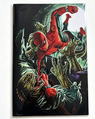 Amazing Spider-Man #11   Lee Bermejo Amazing Visions Virgin Variant   Marvel / P