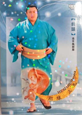 Tobizaru BBM Grand Sumo 2025 Series 2 Nagomi Holo Sports Trading Card - 12