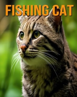 Fishing Cat The Essential Guide to This Amazing Animal  -  NEW ISLA. VANE 2024-0