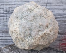 1-1/2 Lb Whole Unopened Break Your Own Hollow Geode Rattler Shaker Loud Nice Gem