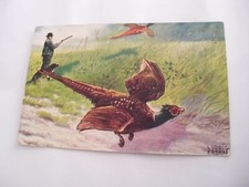Caccia Animali Fagiano - non spedita f. p. 