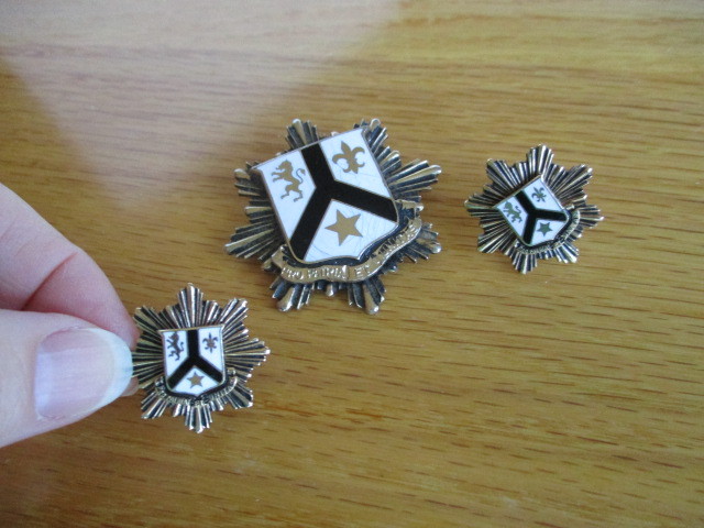 Pro Patria Et Unitas For Country and Unity Gold Toned Pin Brooch and Earrings