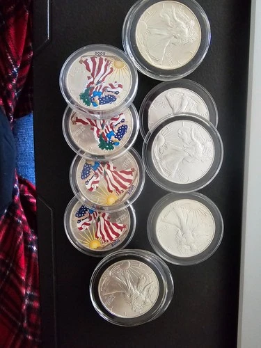Eleven 1 Oz Silver American Eagle BU Various Dates fully encapsulated.
