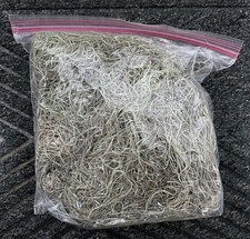 1-Gallon Bag of Fresh Florida Spanish Moss - Crafting, Mulch, Decor
