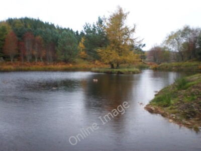 Foto 6x4 künstlicher Lochan mit Lockvogel Enten zu Beginn des Woodcock Hill Spaziergangs c2009