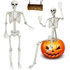 5.9FT Poseable Life Size Skeleton, Plastic Full Size Human Skeleton with Mova...