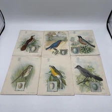 1927 Singer Sewing Machine American Song Birds Trade Cards Lot/6 Advertising