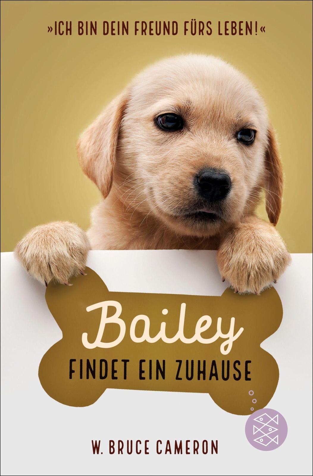 Thumbnail - Bailey Findet Ein Zuhause | Buch | 9783733503758