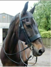 Adams-Tack Horse Riding English Hunter Jump Hackamore Bridle