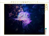 Calvendo Puzzle Sea Anemone | 1000 Pieces, Finished Size 25.2 × 18.9 In (64 × 48