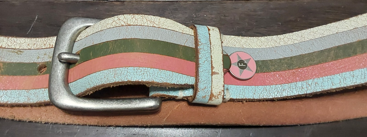 Fossil Distressed Pastel Stripe Leather Belt Western Boho  display picture 3
