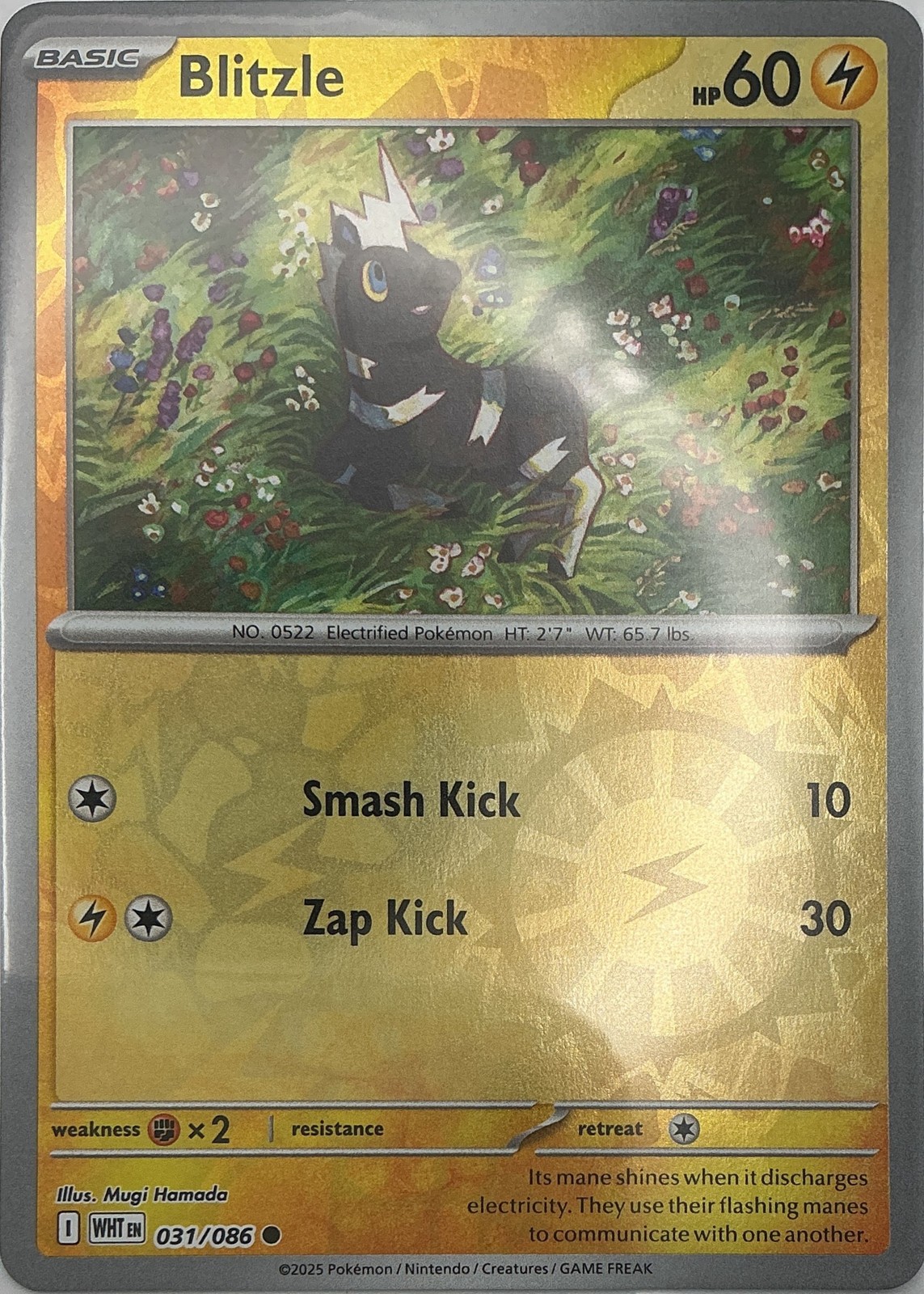 Blitzle Common Reverse Holo SV: White Flare 031/086 NM