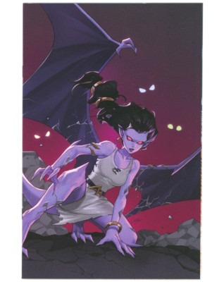 Dynamite Disney GARGOYLES (2022) #11 LEIRIX 1:15 Virgin Variant Cover
