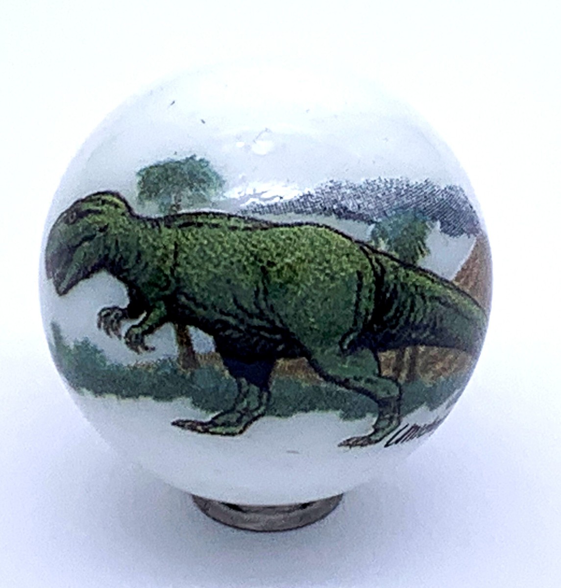 25mm Dinosaur Animarbles Set of 5 Educational Marbles T-Rex Raptor