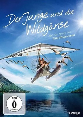 Der Junge und die Wildgänse | Lilou Fogli (u. a.) | DVD | 1x DVD-9 | Deutsch