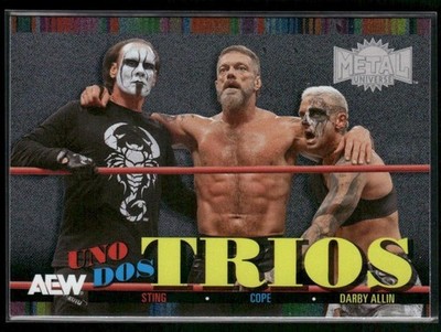 2025 UD AEW Skybox Metal Universe Sting/Cope/Darby Allin UDT