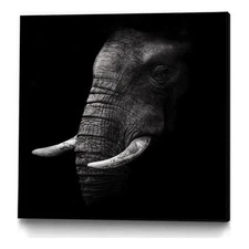 Giant Art Canvas  20x20 Portrait Framed in White