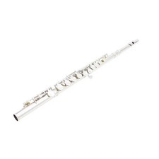 Professional Silver Flute ... SILVER INSTRUMENT with Case