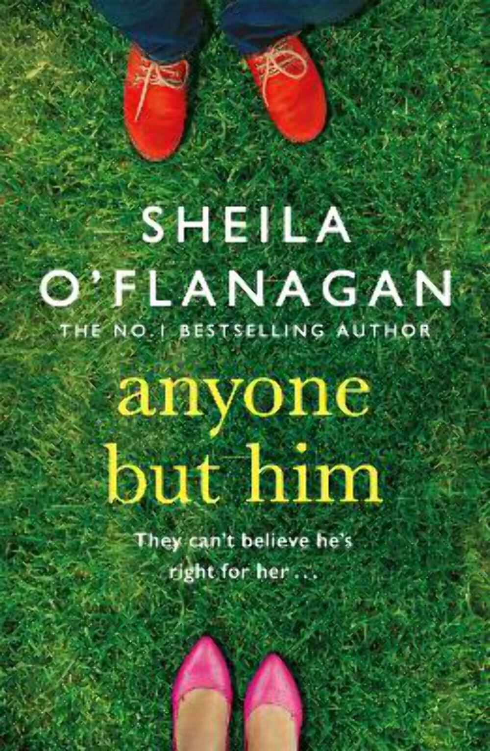 Sheila O'Flanagan: Anyone but Him [2005] paperback