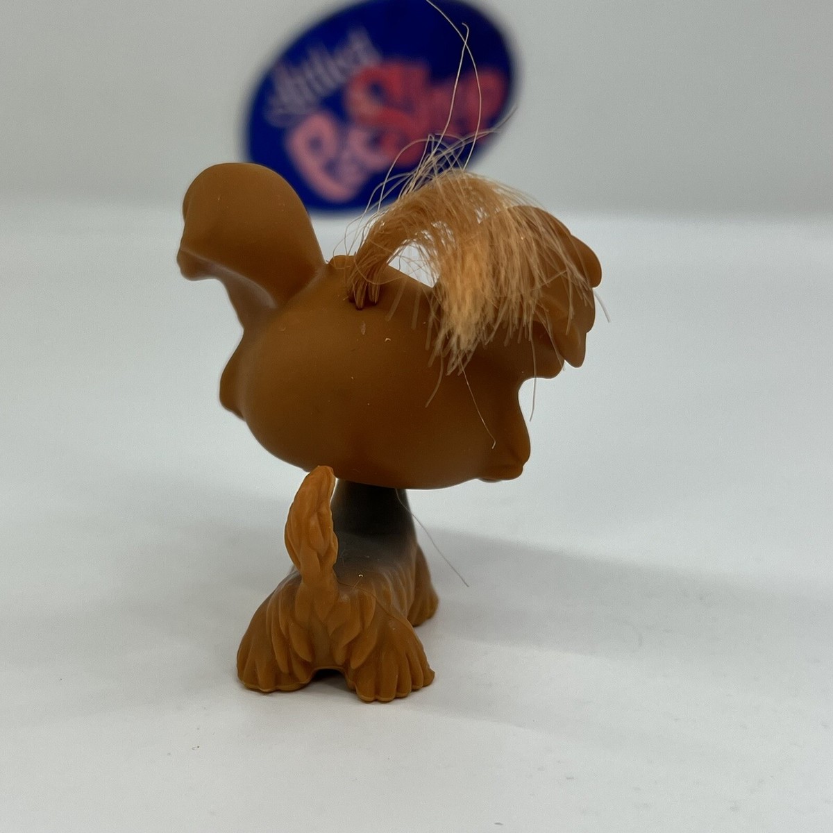 SHI TZU DOG #6 - Authentic Littlest Pet Shop - Hasbro LPS | eBay