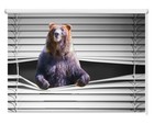 Big Brown Bear Peeking Printed Picture Photo Window Roller Blind Blackout Custom