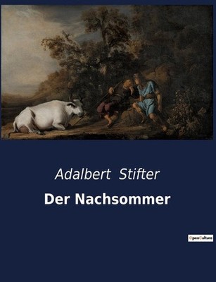 Der Nachsommer: Einblicke in das Leben und die Entwicklung eines jungen Mannes i