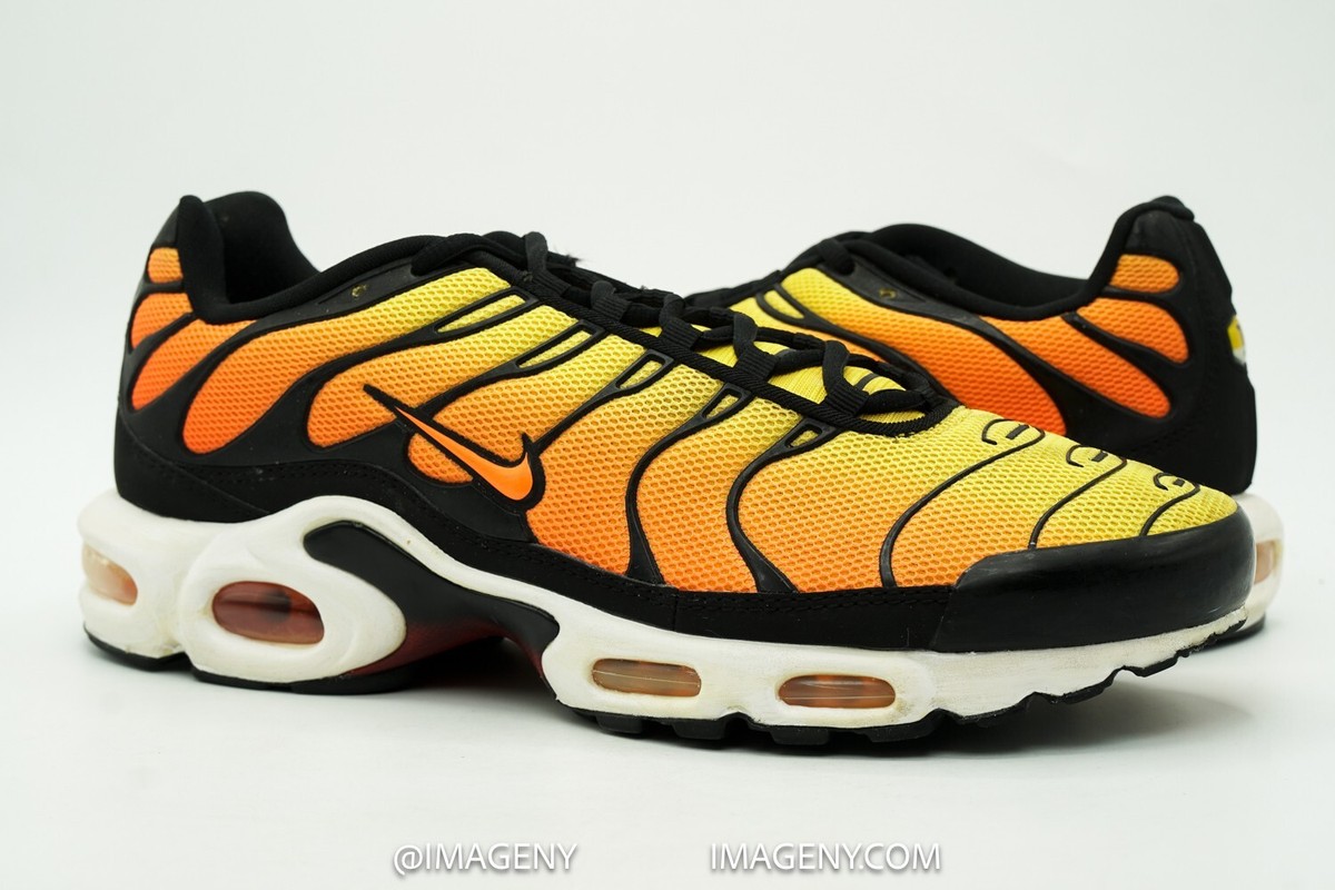 tiger tns for sale