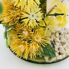 Bild 6 von 12